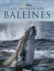 Les Secrets des baleines