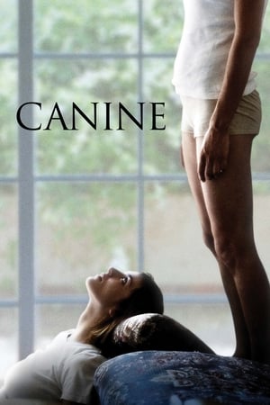 Canine